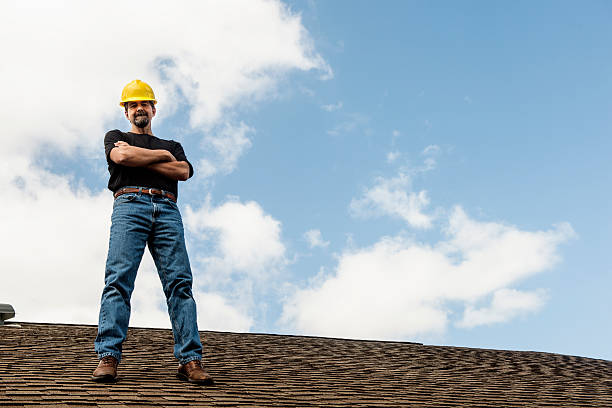 Roof Gutter Cleaning in Citrus Park, AZ