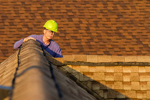 Quick and Trustworthy Emergency Roof Repair Services in Citrus Park, AZ